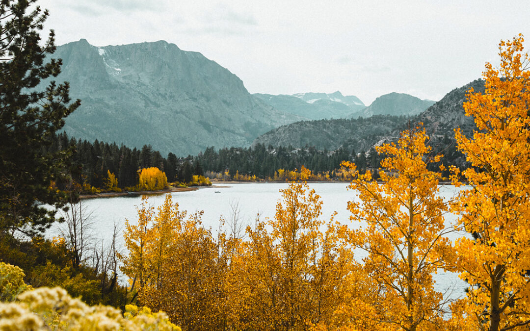 It’s Fall — Such a Special Time in the Eastern Sierra!