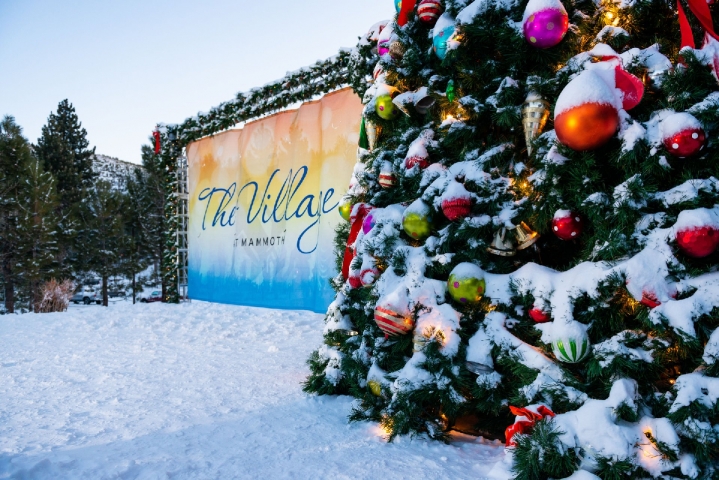 holiday tree lighting