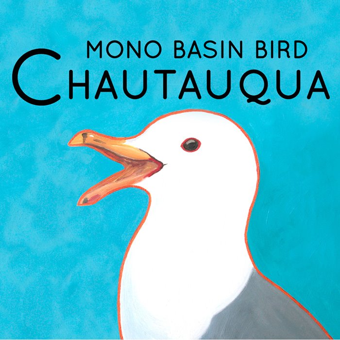 Mono Lake Bird Chautauqua