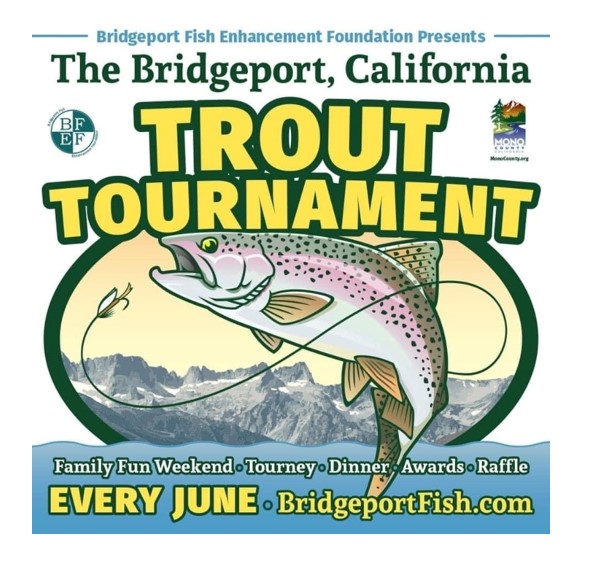 bfef june trout tournament
