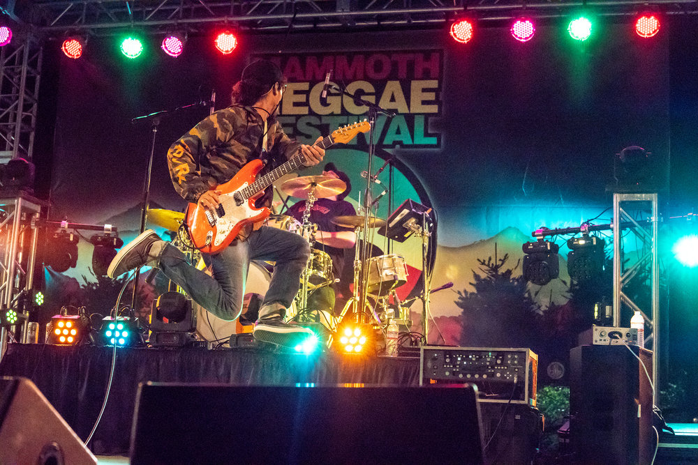 Reggae festival