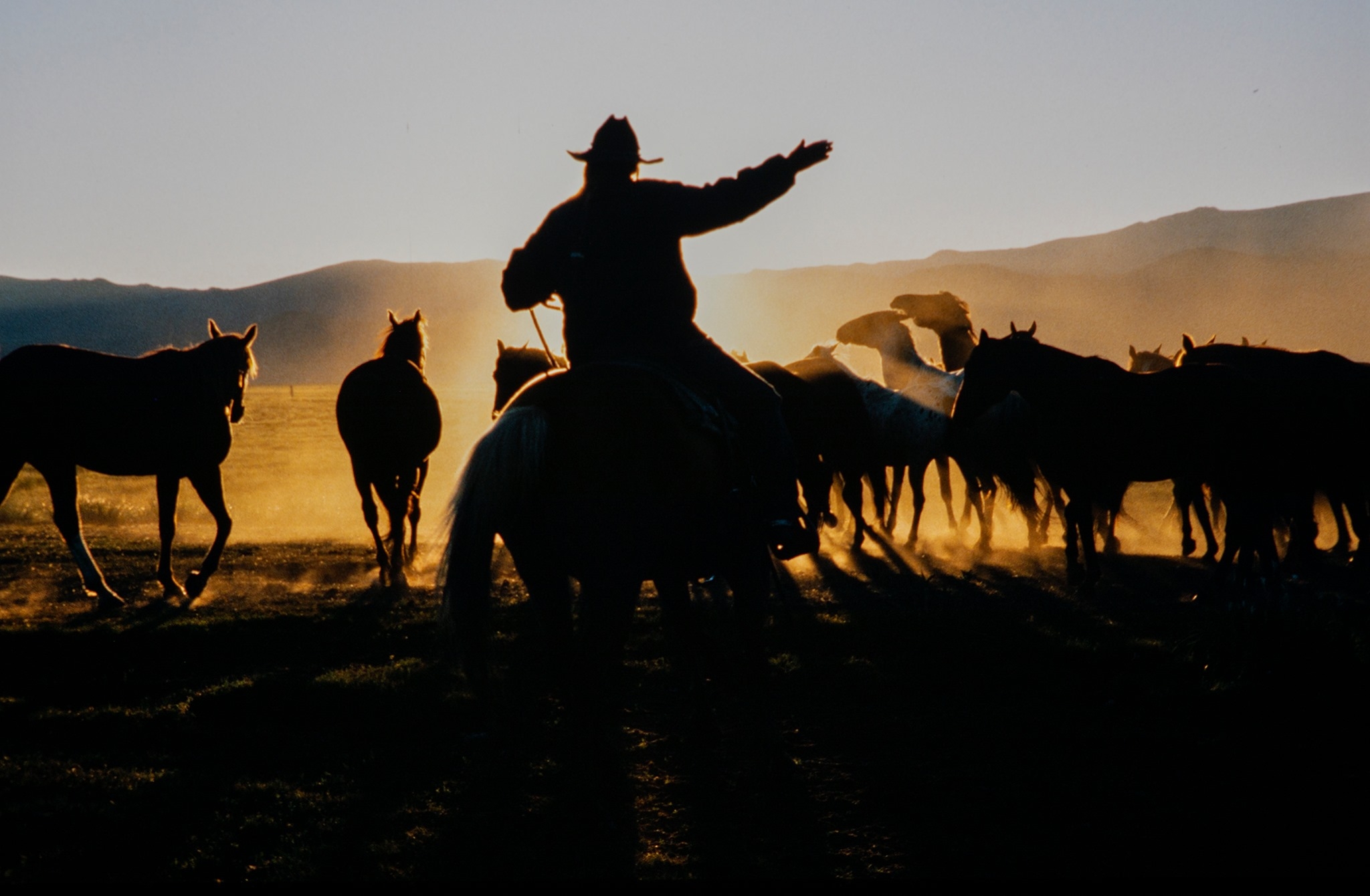 cowgirl art rodear