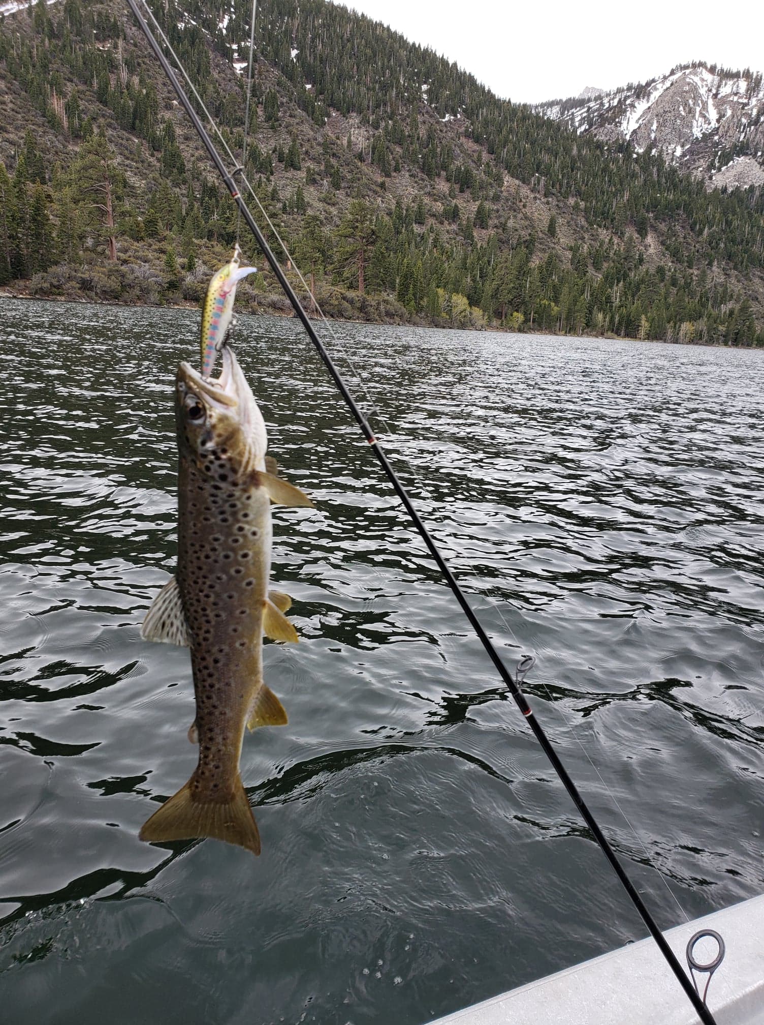 fishing derby