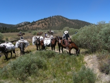 cottonwood ride