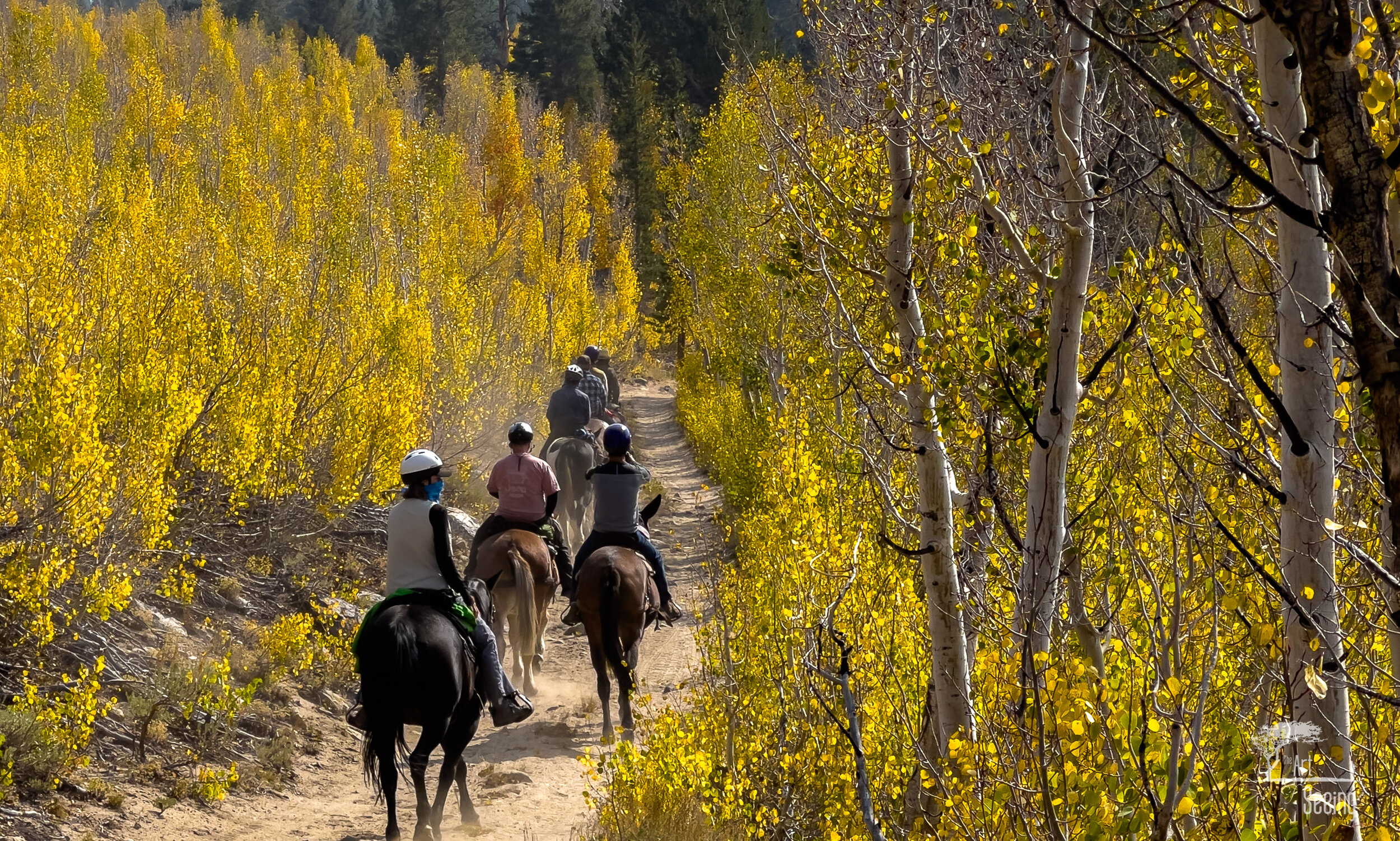 fall colors photography