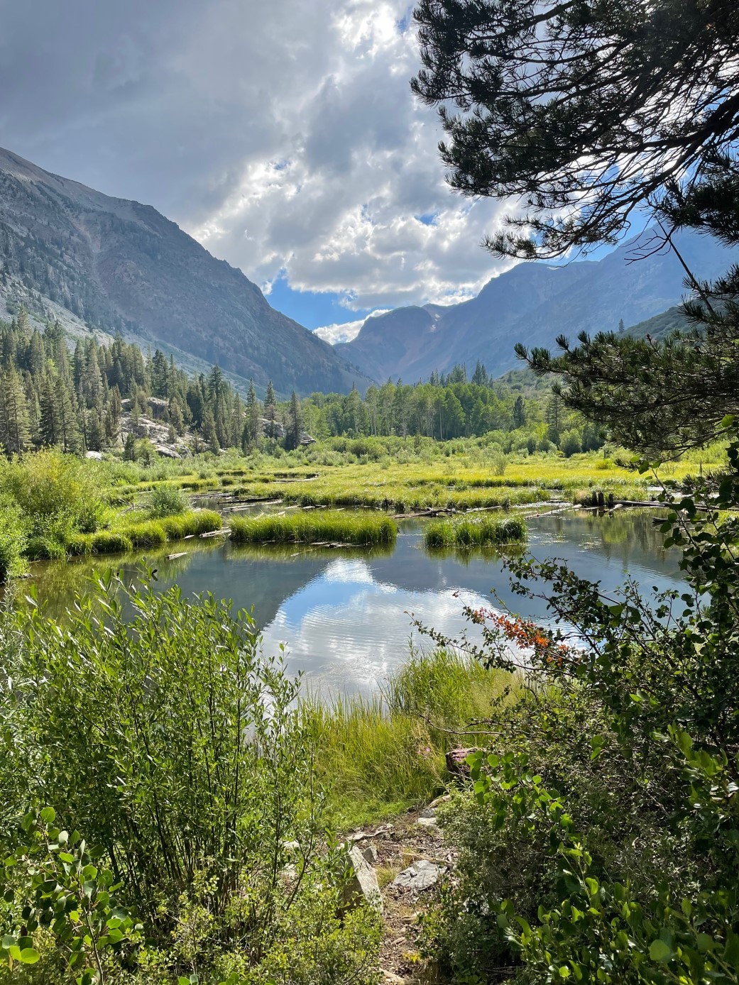 lundy canyon bird outing