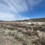 250227 37f750aa 98fe 43c0 a442 f99f6b1103ed