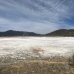 250227 8837b556 4041 4c14 bf04 f970322556c2