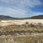 250227 fc8f8a44 5445 405e bba7 be1527caecec