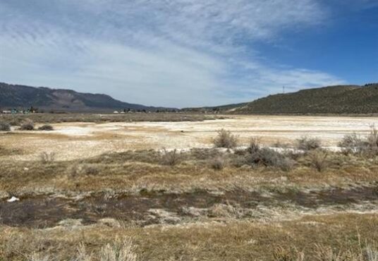 250227 fc8f8a44 5445 405e bba7 be1527caecec