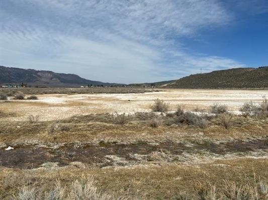 250227 fc8f8a44 5445 405e bba7 be1527caecec