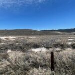 250227 ffaf9ff6 ebe0 4bf9 b42a 576e7cde9f3c